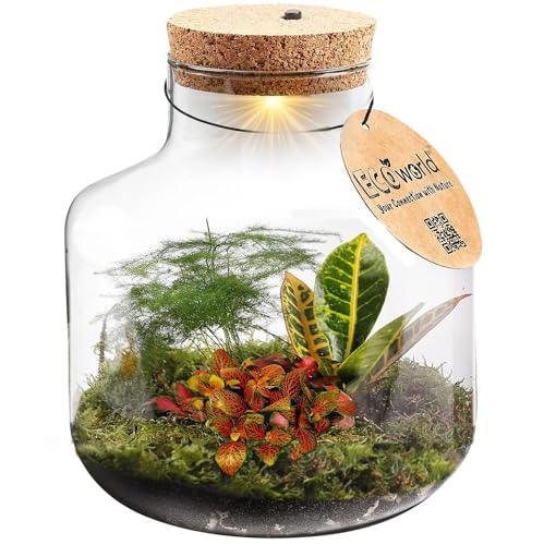 vdvelde.com - Tropical Biosphere - Ecoworld Flaschengarten mit Mini Pflanzen im Glas - Pflanzen Terrarium Glas Ø 21 cm ↥ 21 cm - Mini Ökosystem mit Licht von Ecoworld