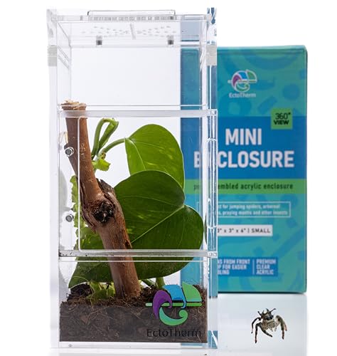 Springspinnen-Babitat, Terrarium-Set – Käfer & Spinnenkäfig, Frosch & Betende Mantis Gehege von EctoTherm