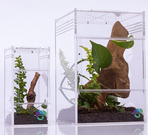 Springspinnengehege, Springspinnenwohnraum, Spinnen-Terrarium Kit, Springspinnengehege Zubehör, Spinnenkäfig, Käferterrarium, Insektenterrarium, Schneckenlebensraum, Arboreal Tarantel Gehege von EctoTherm