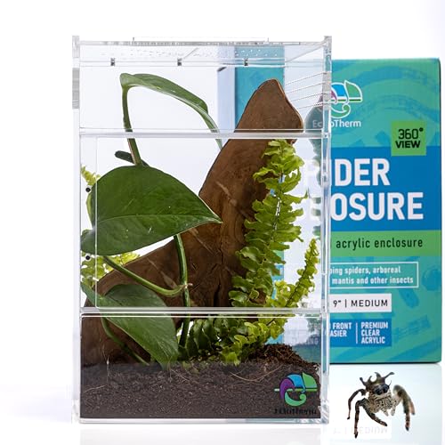 Springspinnengehege, Springspinnenwohnraum, Spinnen-Terrarium Kit, Springspinnengehege Zubehör, Spinnenkäfig, Käferterrarium, Insektenterrarium, Schneckenlebensraum, Arboreal Tarantel Gehege von EctoTherm