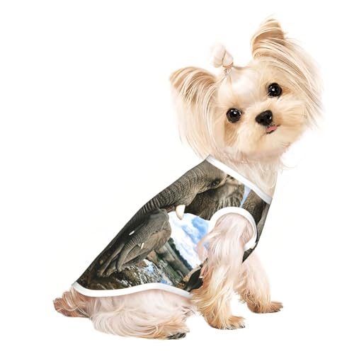 Afrikanische Wildtiere, Elefanten-Druck, Hunde-Shirts für kleine Hunde, dehnbares T-Shirt, leichtes Tank-Top, ärmellos, gestreift Afrikanische Wildtiere, Elefanten-Druck, Hunde-Shirts für kleine Hunde, dehnbares T-Shirt, leichtes Tank-Top, ärmellos, gestreift von EdWal
