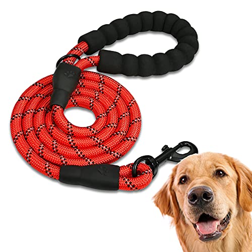 Edipets, Hundeleine, Starke Hundeleine mit Gepolstertem Griff für Haustiere, für Welpen, Kleiner, Mitteler und Großer Hund, 120 cm, 150 cm, 220 cm (220 cm, Rot) von Edipets