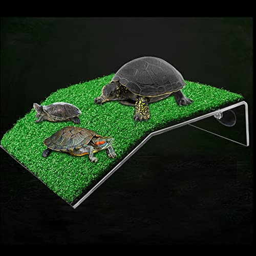 EdirFtra Rasenschildkröte Plattform Schildkröte Ruhe Basking Plattform Schildkröte Klettern Plattform Gefälschtes Gras Schildkröte Rampe für Schildkröte Tank Krabbe Reptilien, 2C0M von EdirFtra