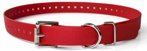 Educator Biothane Halsband, 1-inch, rot von Educator