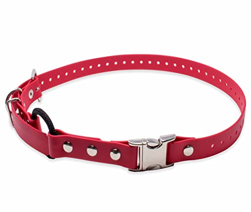 Educator Bungee-Halsband mit Schnellverschluss, 2,5 cm breit, 83 cm lang, Rot von Educator