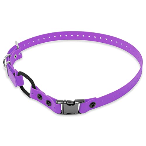 Educator Quick Snap Bungee-Hundehalsband, Biothan, wasserdicht, geruchlos, einfach zu verbinden und zu trennen, Verschluss und D-Ring mit Komfort-Bungee-Schlaufe, verstellbar für individuelle von Educator