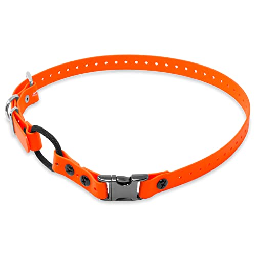 Educator Quick Snap Bungee-Hundehalsband, Biothan, wasserdicht, geruchlos, einfach zu verbinden und zu trennen, Verschluss und D-Ring mit Komfort-Bungee-Schlaufe, verstellbar für individuelle von Educator