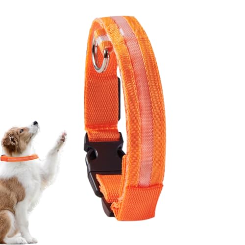 Eelogoo Blinkende Hundehalsbänder | Leuchtendes Leuchthalsband für Hunde - Tragbares, im Dunkeln leuchtendes Hundesicherheitshalsband für mittelgroße Welpen und Haustiere von Eelogoo