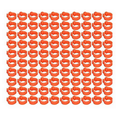 Eeneme 100 Stück 8 Mm Tauben-Identifikations-Beinringe, Geflügel-Beinbänder, Keine Worte, Taubenzubehör (Orange) von Eeneme