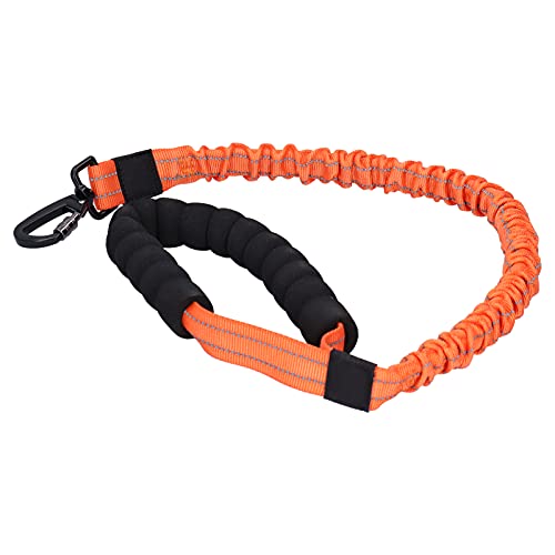 Reflektierende Hundeleine aus Nylon den Außenbereich, Elastische Hundeleine Kleine, Mittelgroße und Große Hunde (Orange) von Eeneme