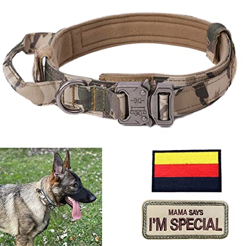 Hundehalsband Verstellbar mit Kontrollgriff, Taktisch Halsband Nylon, Hunde Halsband Gepolstert, Metallschnalle, für Mittlere Große Hunde Jagd Training Outdoor, Grau L Breit von Eeyfarog