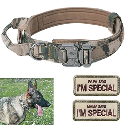 Hundehalsband Verstellbar mit Kontrollgriff, Taktisch Halsband Nylon, Hunde Halsband Gepolstert, Metallschnalle, für Mittlere Große Hunde Jagd Training Outdoor, K9 Grau L von Eeyfarog