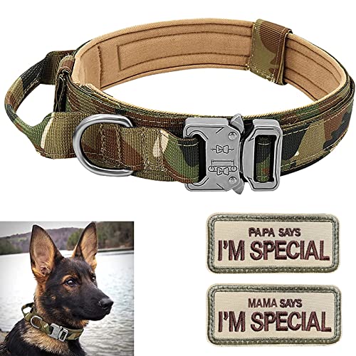 Hundehalsband Verstellbar mit Kontrollgriff, Taktisch Halsband Nylon, Hunde Halsband Gepolstert, Metallschnalle, für Mittlere Große Hunde Jagd Training Outdoor, Grün L von Eeyfarog