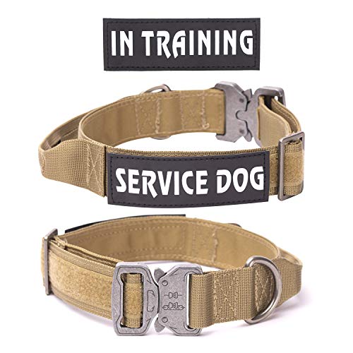 Hundehalsband Verstellbar mit Kontrollgriff, Taktisch Halsband Nylon, Hunde Halsband Gepolstert, Metallschnalle, für Mittlere Große Hunde Jagd Training Outdoor, M von Eeyfarog