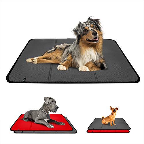 Effaband – Hundedecke Made in Germany/rutschfeste & waschbare Hundematte mit Einer Liegefläche aus einem 3D Abstandsgewirke (3D Air Mesh) zur optimalen Luftzirkulation (60x80cm) - Grau. von Effaband