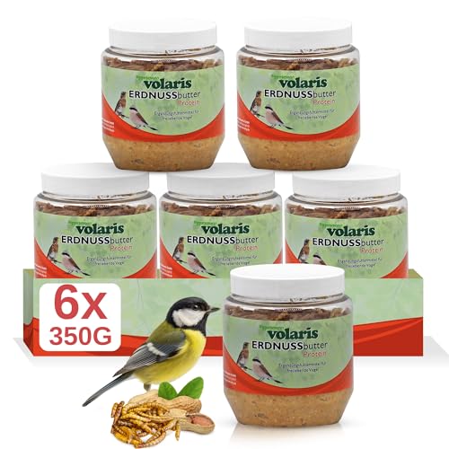 Eggersmann volaris 6 x 350g Premium Erdnussbutter für Wildvögel - Kalorienreiches Fettfutter - Erdnussbutter Vögel im Kunststoff - Glas (6 x 350 g, Insekten) von Eggersmann volaris