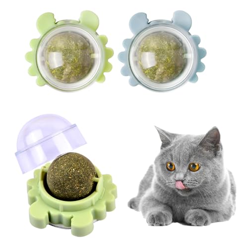 Ehuihuan 2 Stück Katzenminze Ball, Essbare Kugeln Katzenminze Spielzeug, Katzenspielzeug Catnip, Drehbar Catnip Ball von Ehuihuan