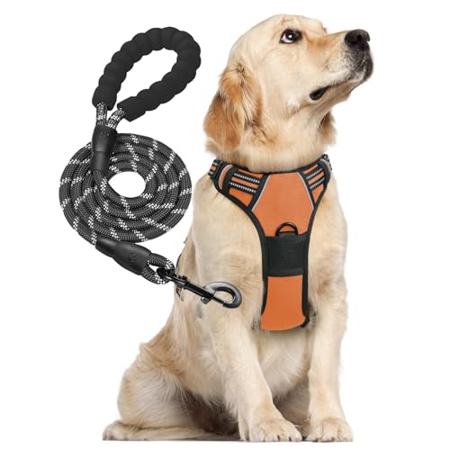 Eitchen Hundegeschirr und Leine, kein Ziehen, Hundegeschirr mit 2 Leinenclips und 3 Schnallen, verstellbar, reflektierend, weich gepolstert, leicht zu kontrollieren, Orange, Größe M von Eitchen