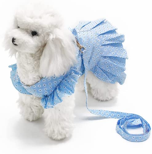 Deluxe Hundekleid Hundekleid Prinzessin Abendkleid, geeignet für kleine bis mittelgroße Hunde, kleiner Gänseblümchenrock, Bogendesign auf der Brust (M) von Eivdru