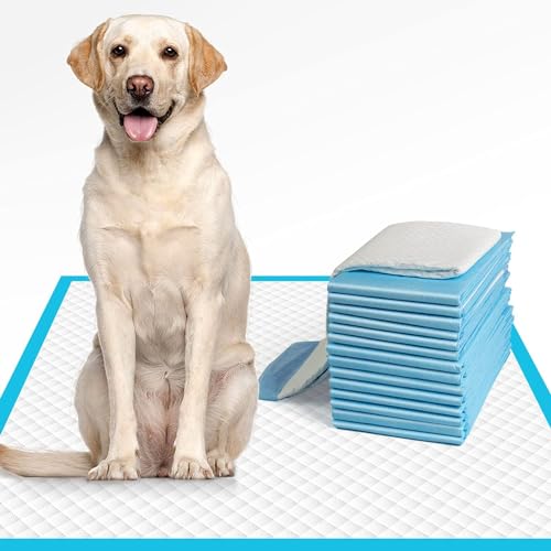 Elalove Trainingspads für Hunde groß 60cmx60cm, Training Welpen-Pinkelpads super saugfähig & auslaufsicher, Einweg-Tier-Piddle-Pad und Töpfchen-Pads für Hunde, Welpen, Doggie (60cmx60cm- 50 Pack) von Elalove