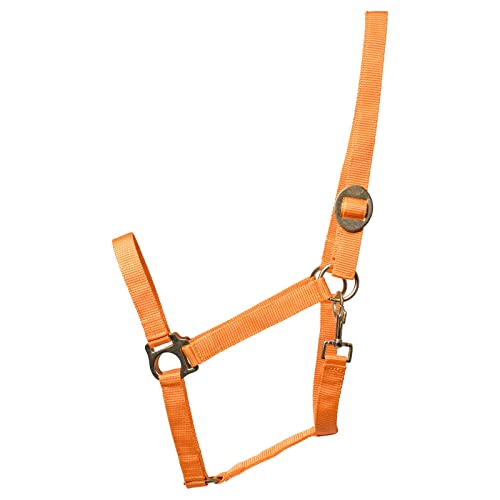 Eldorado Pferde-Halfter Standard - orange - Shetty von Eldorado