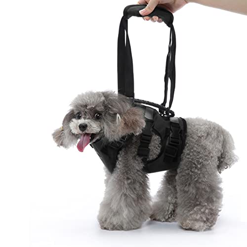 ELEDUME Dog Lift Harness Support & Recovery Sling with Adjustable Breathable Straps, No Pull Dog Harness with Handle for Old, Disabled, Joint Injuries, Arthritis, Lähmung Dogs Walk (L) von Eledume