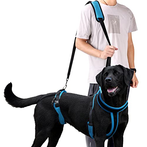 ELEDUME Lift Support Harness Small von Eledume