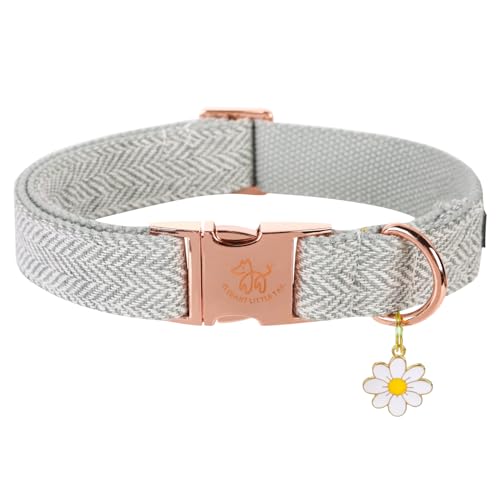 Elegant little tail Hundehalsband - Fischgräten-Hundehalsband Grau Weiches Langlebiges Hundehalsband Verstellbares Hundehalsband für Kleine Mittlere Große Hunde von Elegant little tail