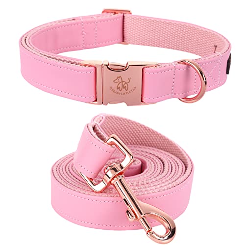 Elegant little tail Hundehalsband und Leine aus Leder, Rosa, langlebiges Hundehalsband, Mädchen- oder Jungenhalsband, verstellbare Hundehalsbänder für kleine Hunde, Hals 25,4-40,6 cm von Elegant little tail