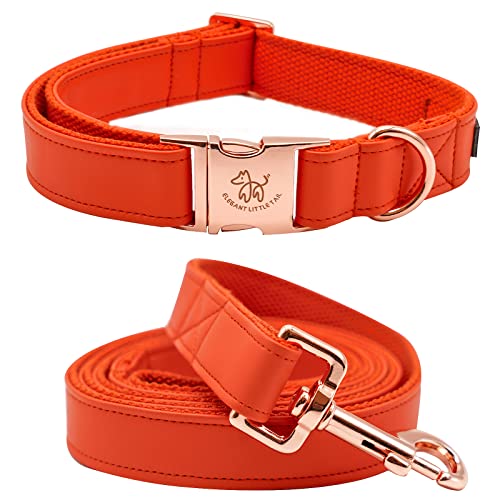 Elegant little tail Hundehalsband und Leine aus Leder, langlebiges Hundehalsband für den Herbst, Haustierhalsband für Mädchen oder Jungen, verstellbares Hundehalsband für kleine Hunde von Elegant little tail