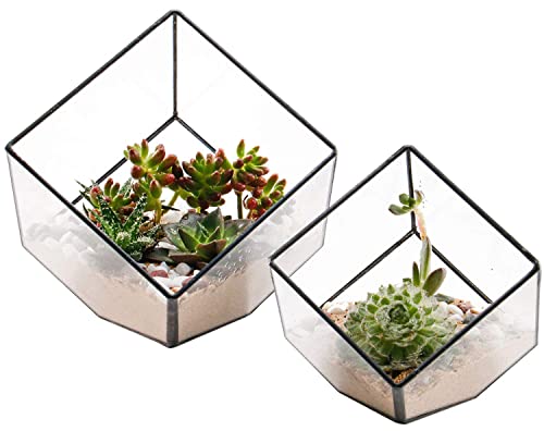 ElegantLife Geometrisches Terrarium aus Glas für Sukkulenten und Luftpflanzen (keine Pflanze im Lieferumfang enthalten) von ElegantLife