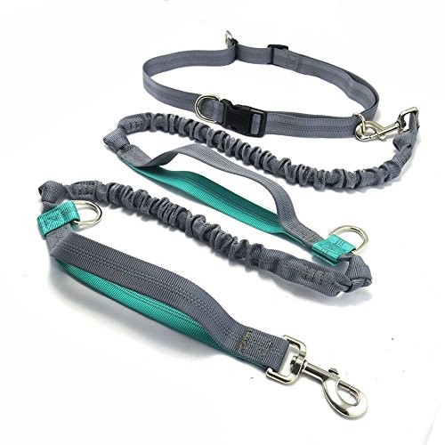 Eleoption Hunde Leine Laufleine Hunde frei Hundeleine Verstellbarer Joggingleine mit reflektierende doppelt elastischer Streifen 150cm Leine (Grau und Blau) von Eleoption