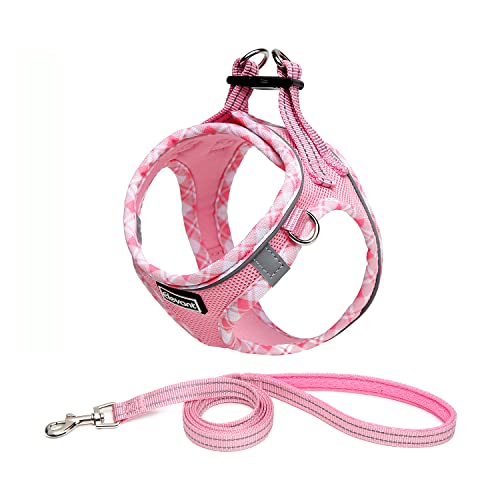 Elevant Hundegeschirr mit Leine, Step-in Weich Gepolstert Geschirr Reflektierend, Air-Mesh Atmungsaktiv Brustgeschirr, Welpengeschirr für Kleine Hunde, Haustiere, Welpen, Katzen (XS, Rosa) von Elevant