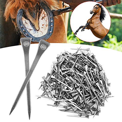 ElgnAura Quality Horse Tool Accessoire - 250pcs Hufeisennagel, E6 hoher Zugstahl -Hufe zum festen Sicherung von ElgnAura