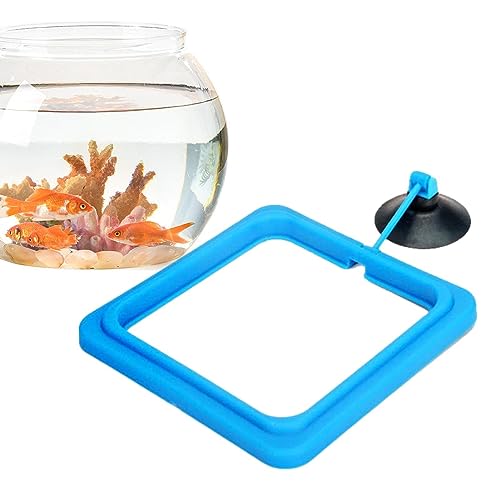 Elinrat Futterring für Aquarium, Fischfutter-Futterspender-Kreis schwimmend, Schwimmender Pflanzenfutterring mit automatischem, schadstofffreiem Design für Aquarien von Elinrat