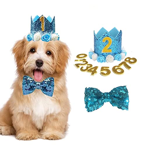 Geburtstagshut für Hunde, Katze, Hund, Geburtstagskrone, Hut und Fliege mit 0–9 Figuren, Charms, Partyzubehör für kleine, mittelgroße Welpen, Kätzchen, Blau (Blau) von Elionless