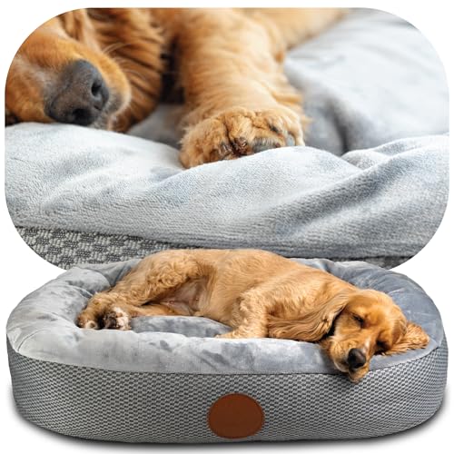 Elite Paws™ UK: Waschbares Luxus-Hundebett mit zweilagigem Kissen und Schaumstoff + verstärkten Seiten für Kopf-, Nacken- und Gelenkunterstützung. Plüsch und beruhigend mit wasserdichter Schicht und von Elite Paws