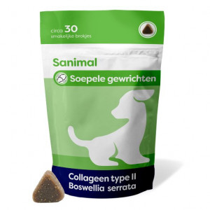 Sanimal Geschmeidige Gelenke mit Boswellia für den Hund 2 x 90 g von Sanimal