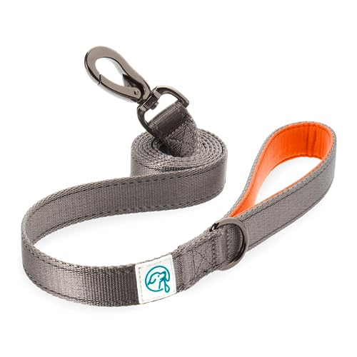 Embark Explorer Leine / Hundeleine mit Soft-Griff - 1,5 m Länge von Embark Pets