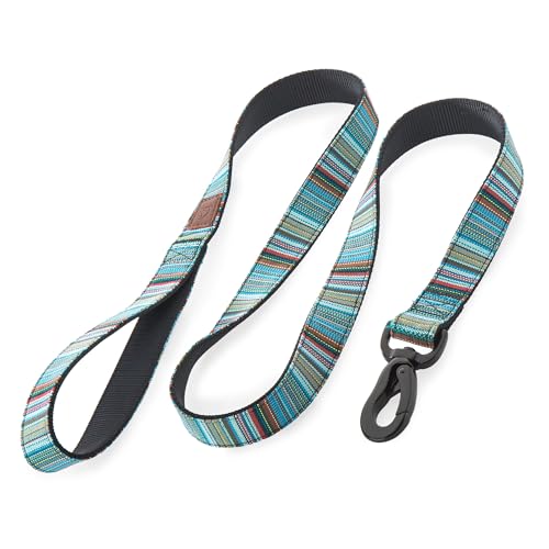 Embark Urban Hundeleine – Bunte, starke und stabile Hundeleine für mittelgroße Hunde, kleine Hunde und große Hunderassen (Boho, 122 cm) von Embark Pets