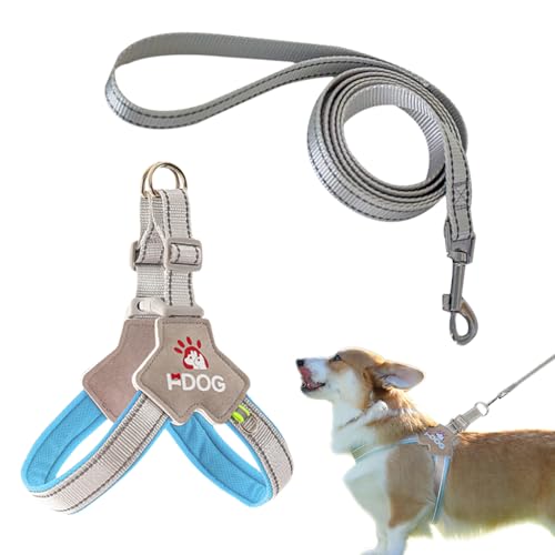 Hundegeschirr und Leine, reflektierend, verstellbar, Schnellentriegelung, Hundegeschirr, mittelstark, sicher, bequem, Anti-Zieh-Hundegeschirr für kleine und mittelgroße Hunde, Outdoor-Walking-Training von Embhlitfe