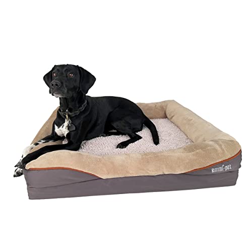 Emmi-pet Orthopädisches Hundebett kleine Hunde - 68x51x15cm, waschbares Hundesofa ideal nach langem Tag voller Spaß & Action I Passt Sich optimal an die Körperform an von Emmi-pet