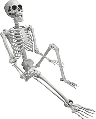 Endxedio Halloween Human Skeleton Poseable Decoration Party Prop w Bending Joints von Endxedio