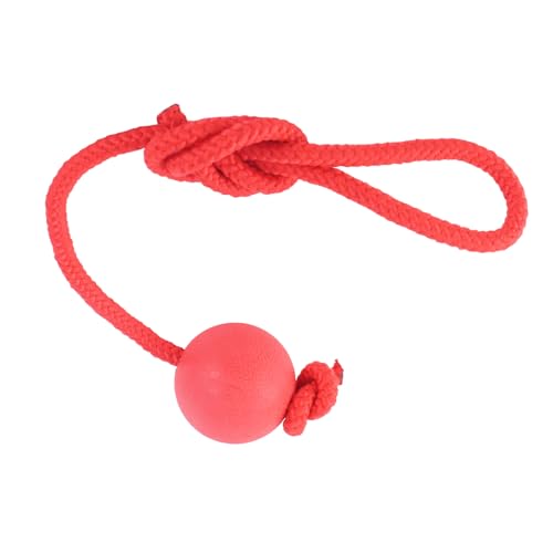 Enforose Hundeball-Seilspielzeug, interaktiver, bissfester, sicherer Hunde-Gummiball mit Seil, interaktiver Zerrball für zahnende Hunde, haustiersicheres, harmloses Silikon-Hundespielzeug (5.5cm) von Enforose