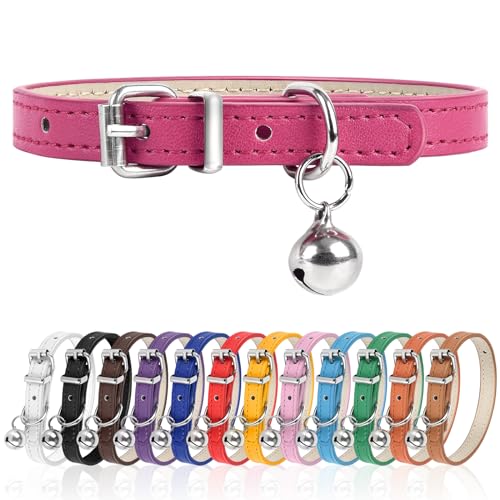 L Hundehalsband für kleine Hunde, verstellbares Hundehalsband, Katzenhalsband für kleine, mittelgroße und große Hunde, 3 cm Breite (HotPink, L) von Engorgio