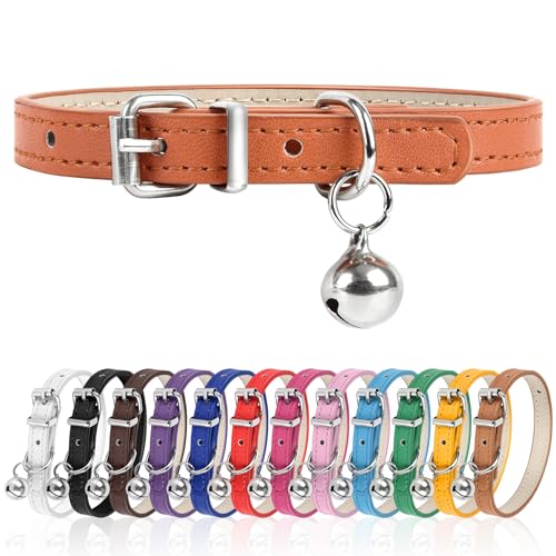 L Hundehalsband für kleine Hunde, verstellbares Hundehalsband, Katzenhalsband für kleine, mittelgroße und große Hunde, 3 cm Breite (Grün, L) von Engorgio