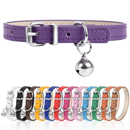 M Hundehalsband für kleine Hunde, verstellbares Hundehalsband, Katzenhalsband für kleine, mittelgroße und große Hunde, 2,5 cm Breite (Lila, M) von Engorgio