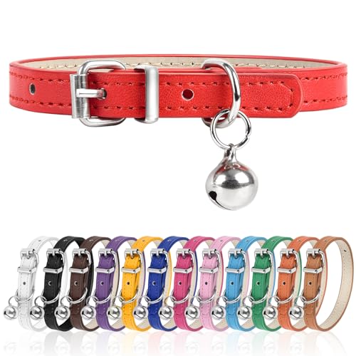 S Hundehalsband für kleine Hunde, verstellbares Hundehalsband, Katzenhalsband für kleine, mittelgroße und große Hunde, 0,95 cm breit, Rot, S von Engorgio