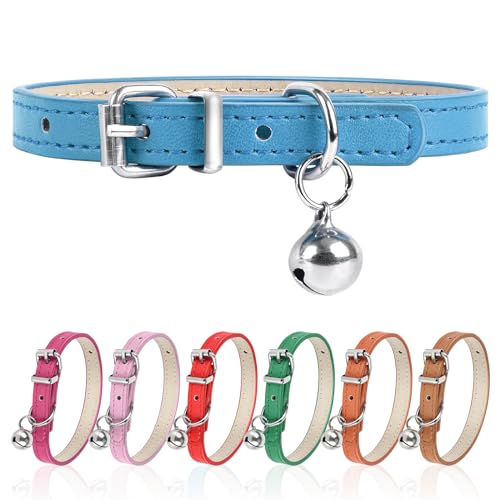 XS Hundehalsband für Teetasse, verstellbares Teetassen-Hundehalsband für kleine, mittelgroße und große Hunde, 0,95 cm Breite (Blau, XS) von Engorgio