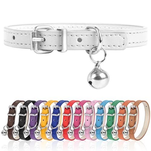 XS Hundehalsband für Teetasse, verstellbares Teetassen-Hundehalsband für kleine, mittelgroße und große Hunde, 0,95 cm Breite (Weiß, XS) von Engorgio